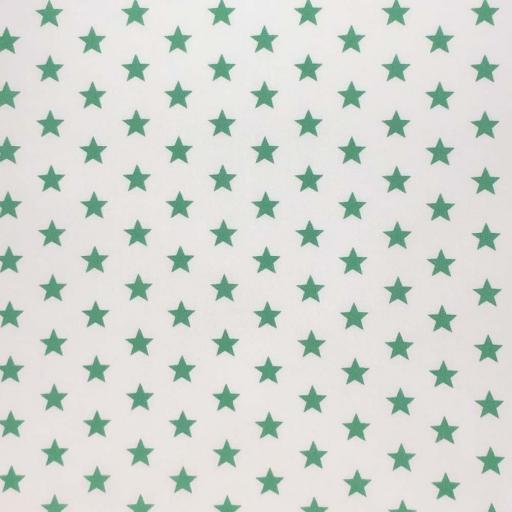 Reverse Star Emerald