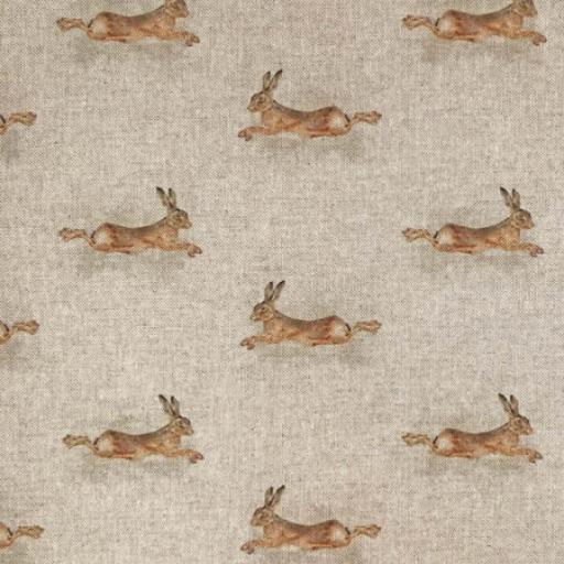Hares