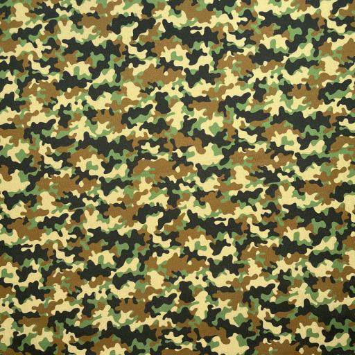 thumb_CC181_Camouflage_1_(1).jpg